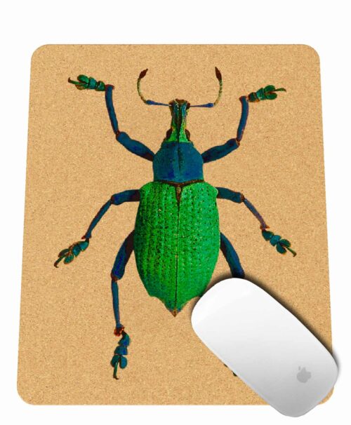 Friday Bug Cork Mousepad rectangular