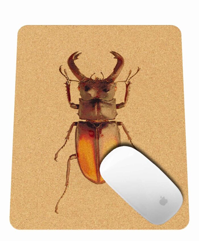 Mouse pad tuesday bug